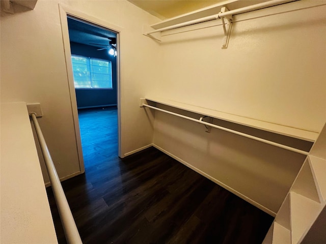 spacious closet with dark wood-style floors