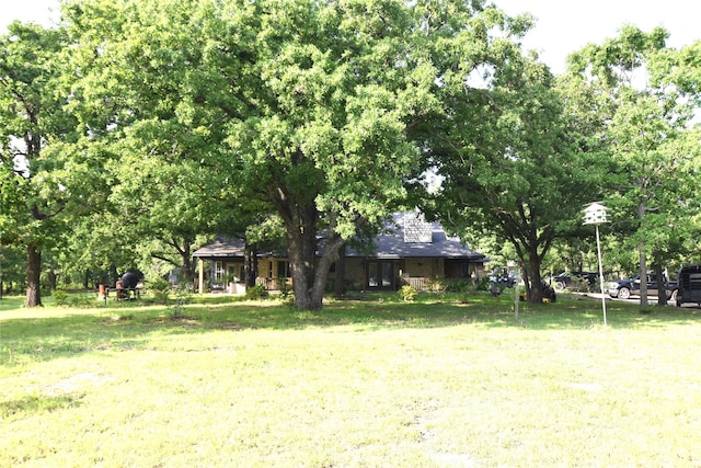 1980 SE County Road 3310th Rd, Kerens, TX 75144 - view of yard