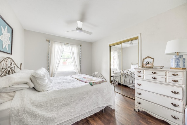 1200 Ridgeway Dr, Richardson, TX 75080 - bedroom featuring ceiling fan, a closet, and dark wood-style flooring
