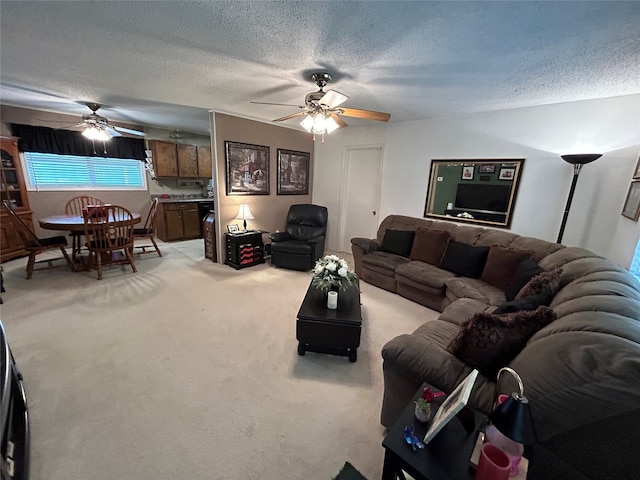 222 County Road 3331, Paradise, TX 76073 - living area featuring ceiling fan, light carpet, and a textured ceiling