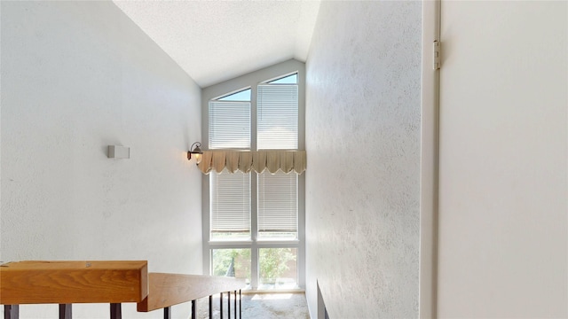 interior space with a textured wall and lofted ceiling