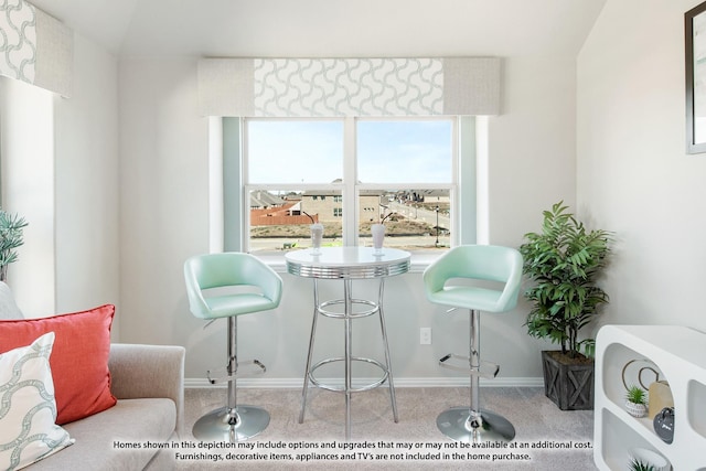 sitting room with baseboards, plenty of natural light, and carpet