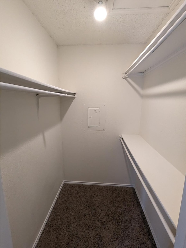 walk in closet featuring carpet