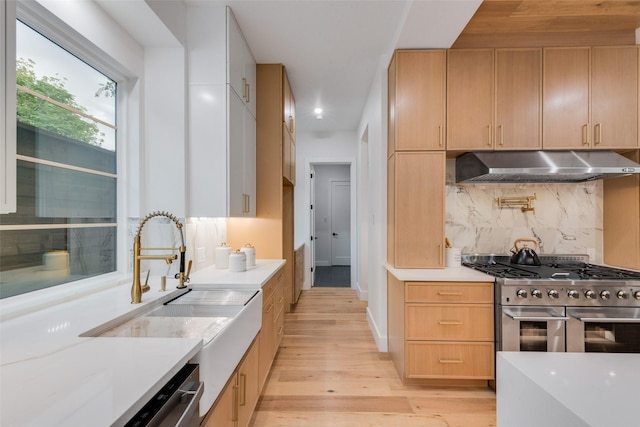 kitchen with a sink, light wood-style floors, stainless steel appliances, decorative backsplash, and under cabinet range hood