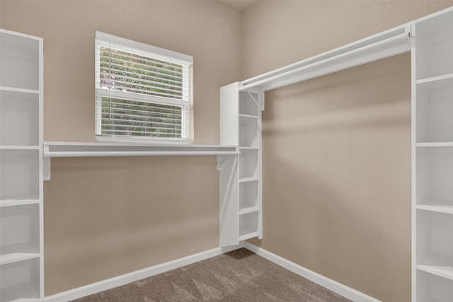 703 S Montgomery St, Sherman, TX 75090 - walk in closet featuring carpet floors