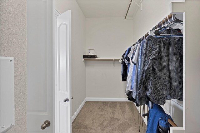 spacious closet with carpet floors