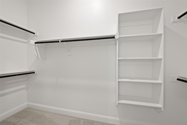 walk in closet featuring carpet floors