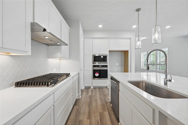 1000 Tulip Pl, Crowley, TX 76036 - kitchen featuring stainless steel appliances, a sink, under cabinet range hood, wood finished floors, and decorative backsplash