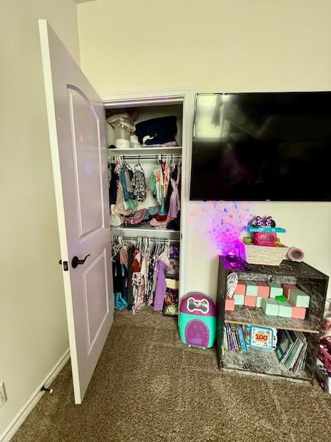 view of closet