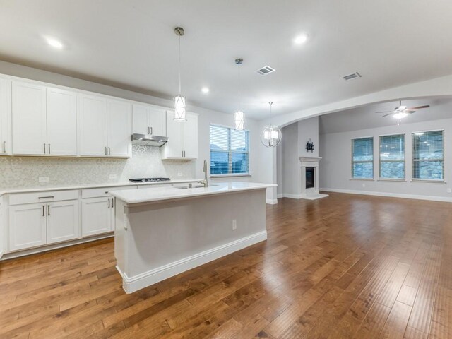 kitchen with a sink, light countertops, under cabinet range hood, and visible vents