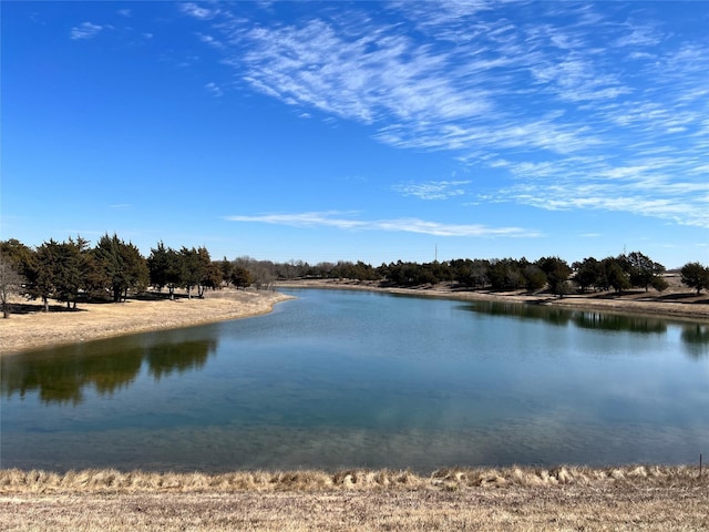 1761 Carroll Moran Trl, Midlothian, TX 76065