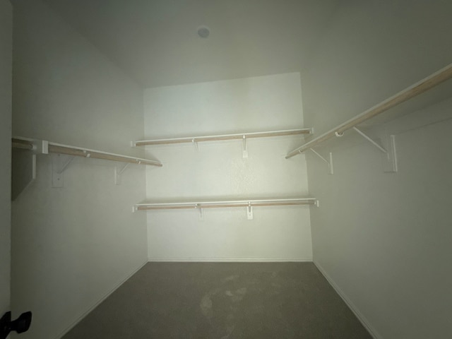 505 Ashlow Ct, Springtown, TX 76082 - walk in closet featuring carpet