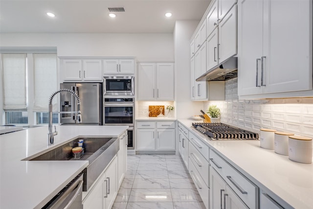 4012 Prickly Pear Ave, Aubrey, TX 76227 - kitchen with marble finish floor, under cabinet range hood, white cabinets, a sink, and stainless steel appliances