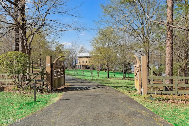view of road featuring a gated entry and driveway