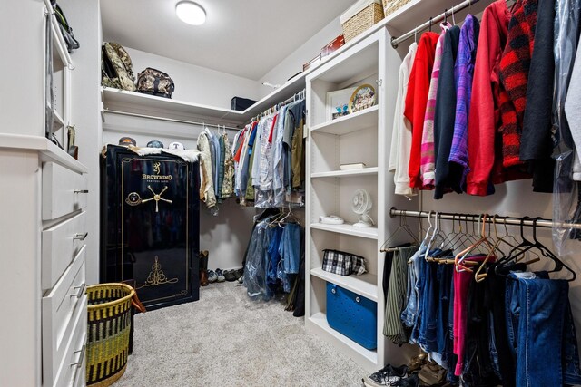 275 Ed Dutton Rd, Pottsboro, TX 75076 - spacious closet with carpet flooring