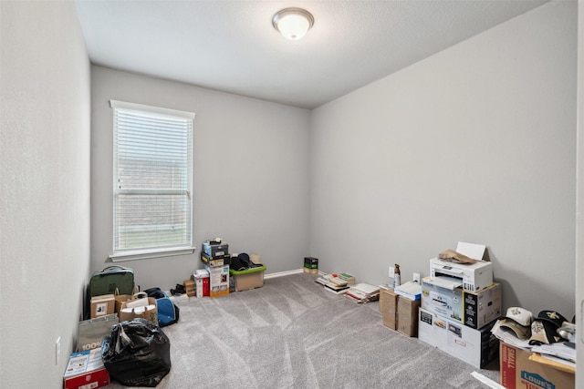 rec room with carpet