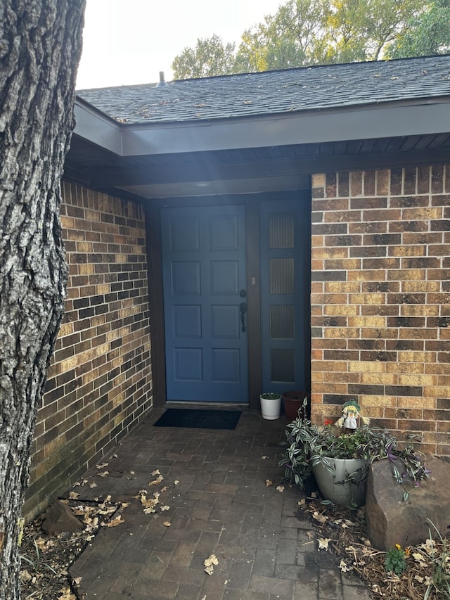 view of exterior entry featuring brick siding and a shingled roof