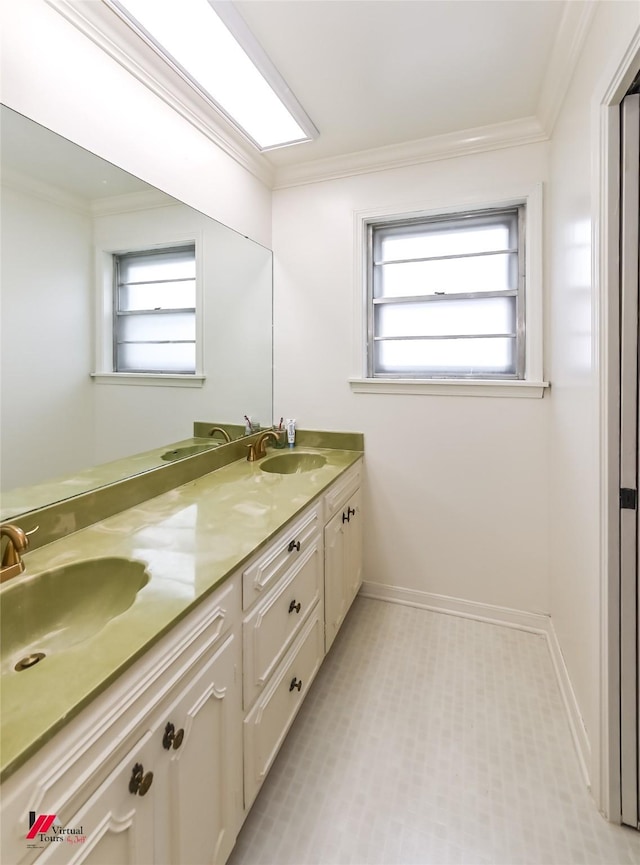 full bathroom featuring a sink, ornamental molding, and double vanity