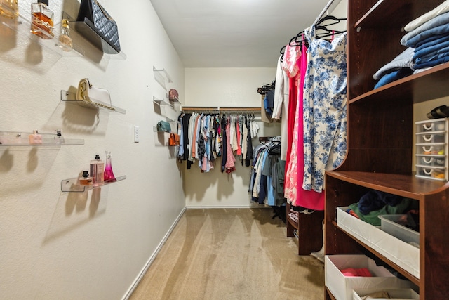 walk in closet featuring carpet floors