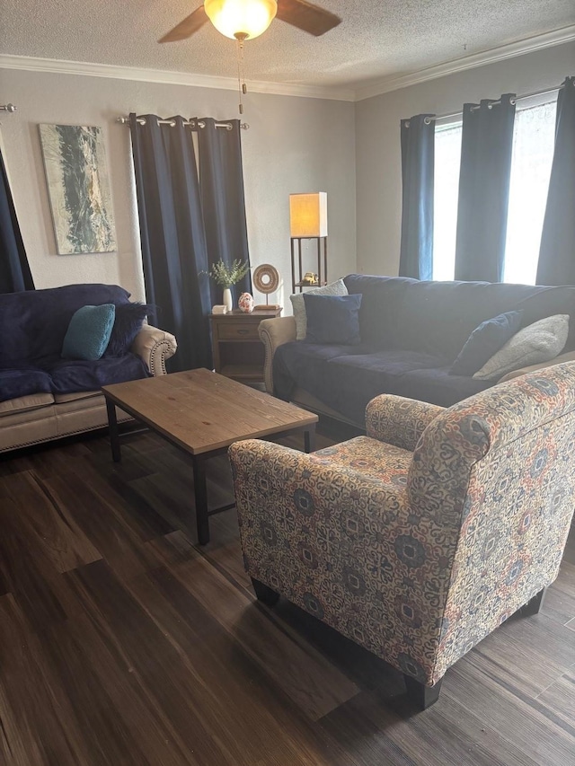 living area featuring crown molding, a ceiling fan, a textured ceiling, and wood finished floors
