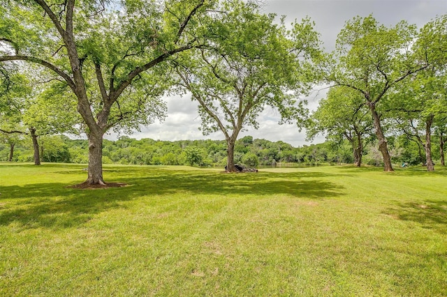 7116 Westover Dr, Granbury, TX 76049 - view of yard