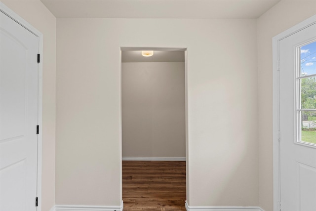 interior space with baseboards, plenty of natural light, and wood finished floors