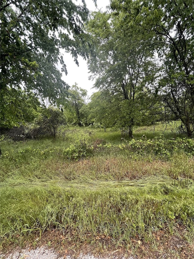 TBD County Road 4358, Decatur, TX 76234