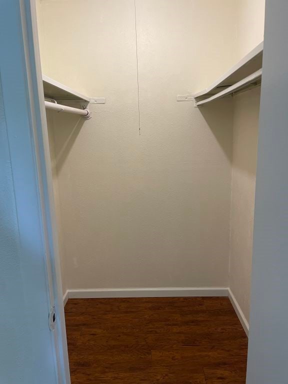 spacious closet featuring wood finished floors