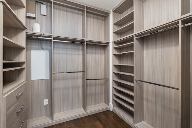 spacious closet with dark wood finished floors