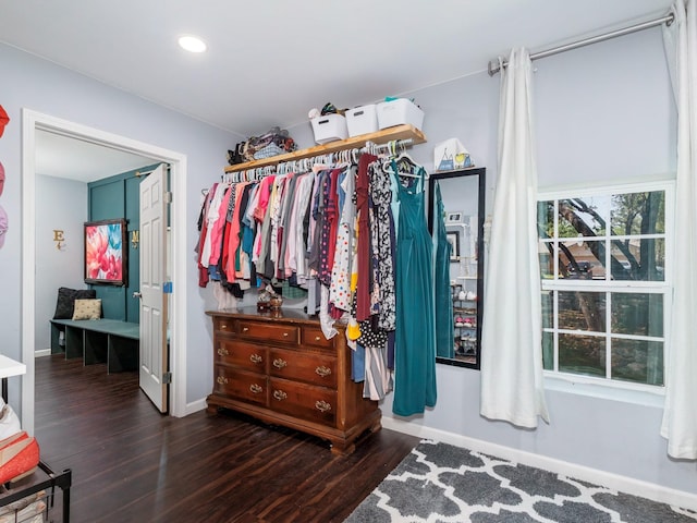 spacious closet featuring wood finished floors