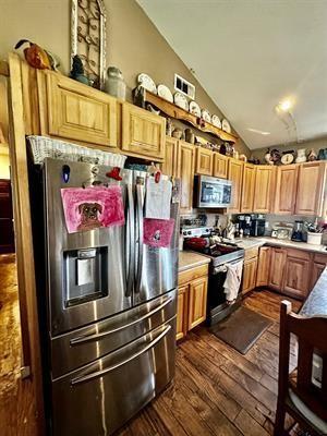 kitchen featuring light countertops, stainless steel appliances, dark wood finished floors, and lofted ceiling