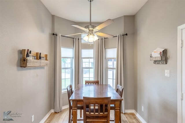 dining room featuring a healthy amount of sunlight, baseboards, and ceiling fan