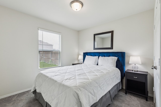 1510 Vega Dr, Forney, TX 75126 - carpeted bedroom featuring baseboards