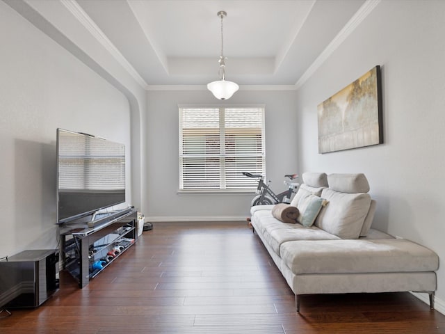 living area with baseboards, a tray ceiling, and dark wood-type flooring