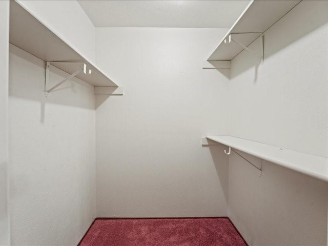 walk in closet featuring carpet floors