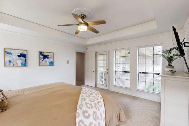 bedroom featuring a tray ceiling, multiple windows, carpet flooring, ceiling fan, and crown molding