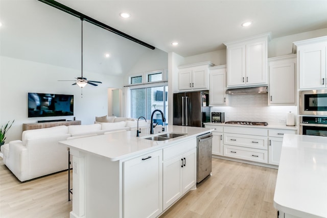 kitchen featuring decorative backsplash, under cabinet range hood, a sink, light wood-style flooring, and appliances with stainless steel finishes