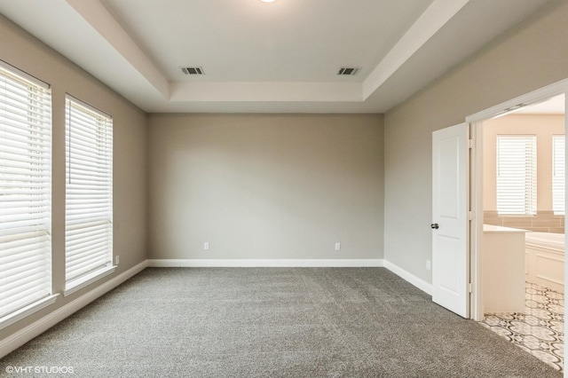 carpeted spare room with visible vents, a wealth of natural light, and a raised ceiling