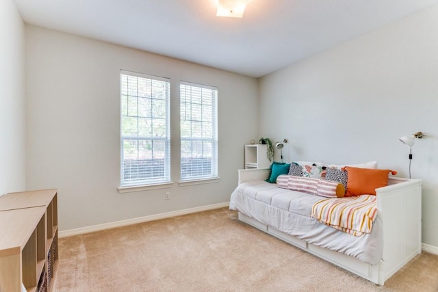 interior space with baseboards and light colored carpet