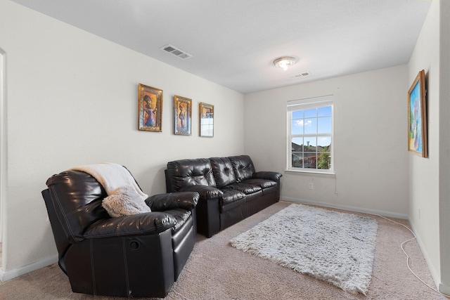 1320 Corkwood Dr, Princeton, TX 75407 - living area with carpet floors, baseboards, and visible vents