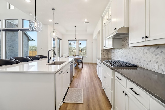 311 Misty Ln, Argyle, TX 76226 - kitchen with under cabinet range hood, appliances with stainless steel finishes, a sink, and light wood finished floors