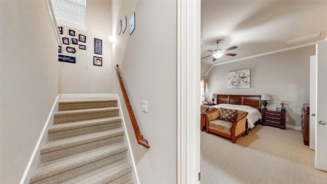 stairway with carpet floors, ceiling fan, ornamental molding, and baseboards