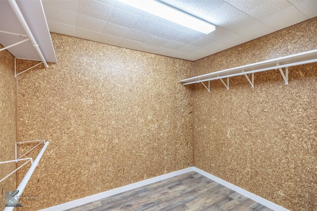walk in closet with wood finished floors