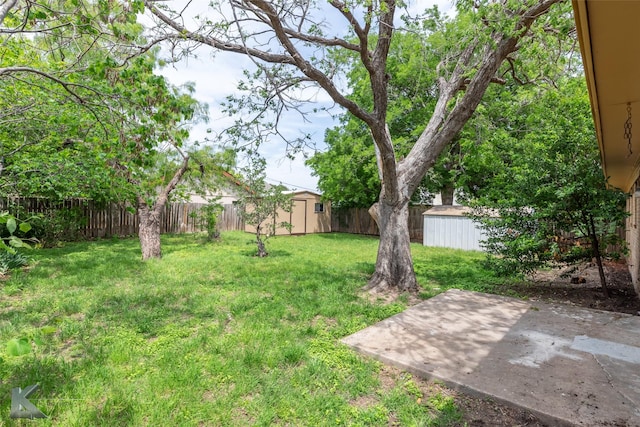 view of yard featuring an outdoor structure, a patio, a shed, and a fenced backyard