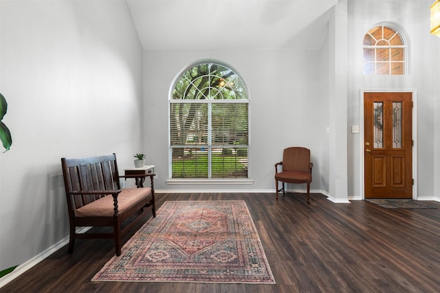 sitting room featuring baseboards, wood finished floors, vaulted ceiling, and a healthy amount of sunlight