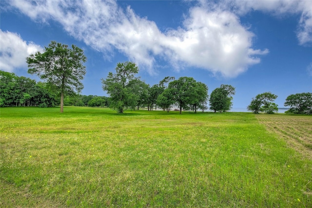 view of yard featuring a rural view