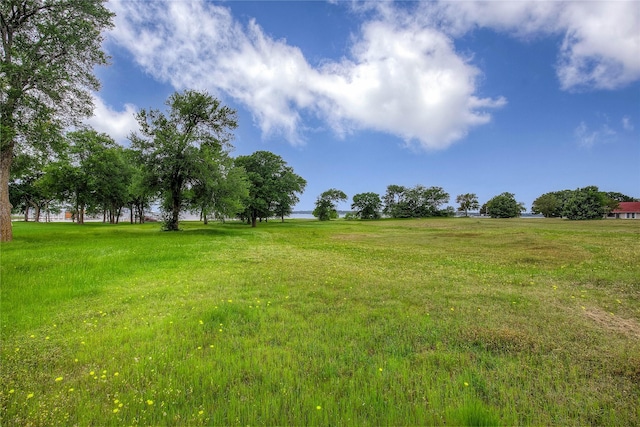 view of yard featuring a rural view