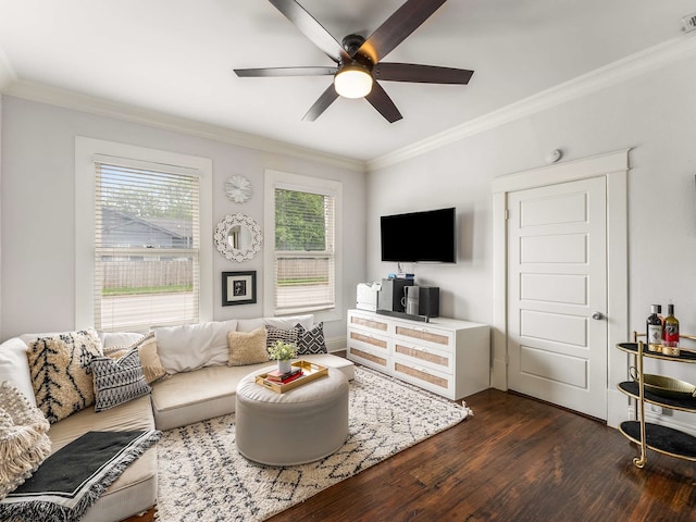living room featuring crown molding, ceiling fan, visible vents, and dark wood-type flooring