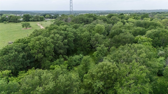 1107 Thompson Rd, Weatherford, TX 76087