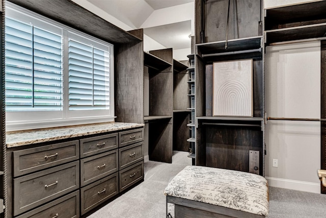 spacious closet featuring light colored carpet